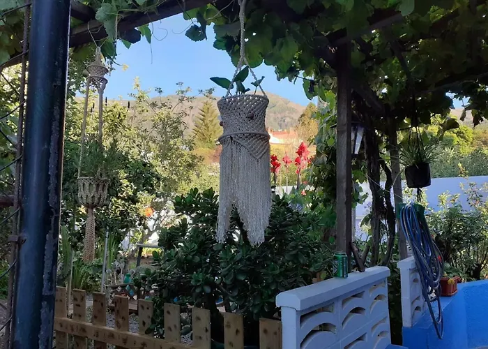 Casa Anaelia * Ля Оротава