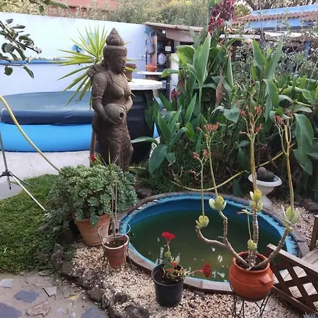 Casa Anaelia Semesterbostad La Orotava