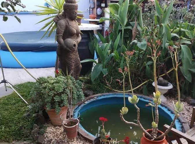 Casa Anaelia Hébergement de vacances La Orotava